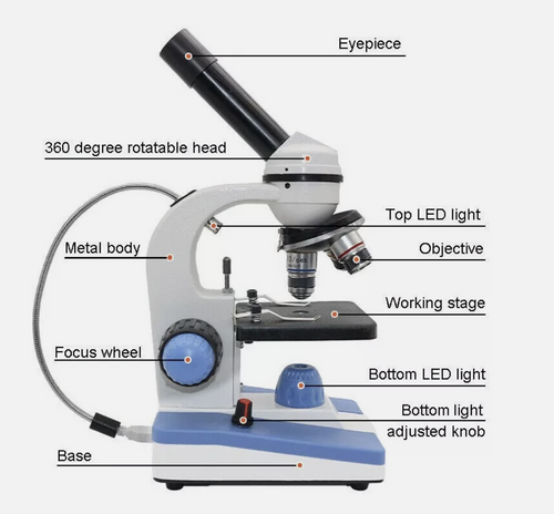 Microscope 40X-2000X Student Biological Smartphone Adapter Built in Lights