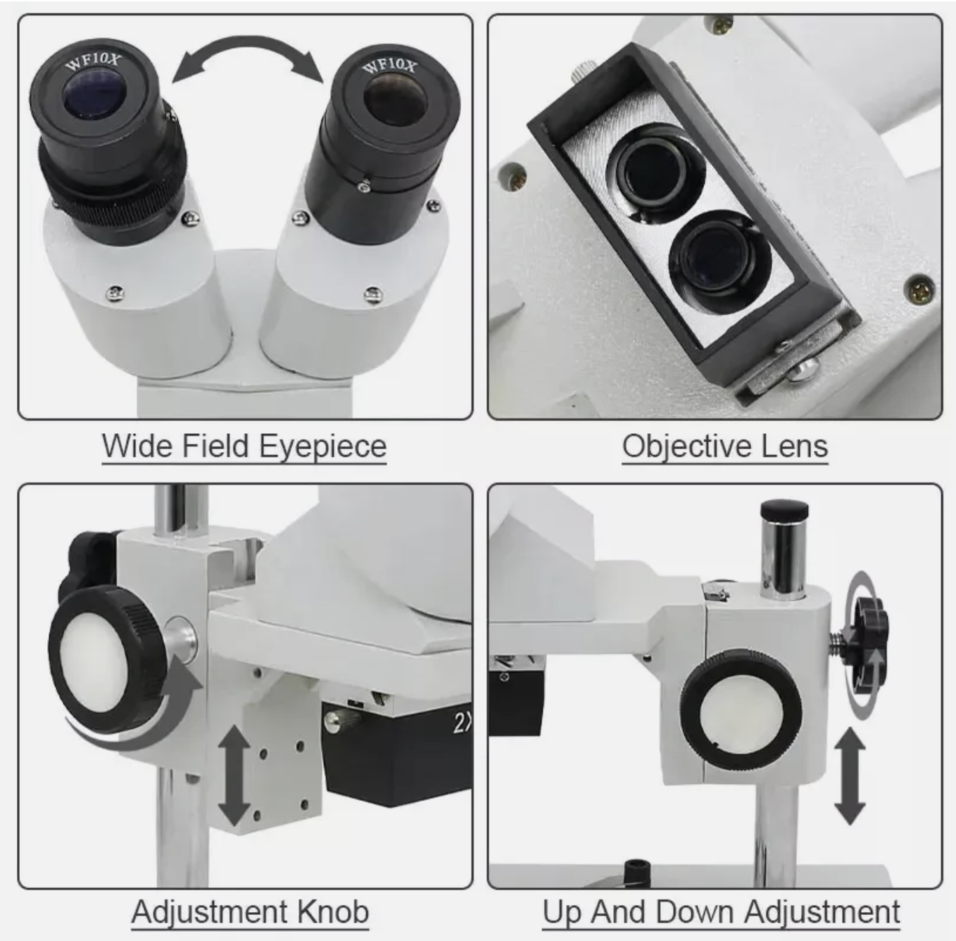 Microscope Binocular Stereo 20X 40X Laboratory Scope With LED Light Source