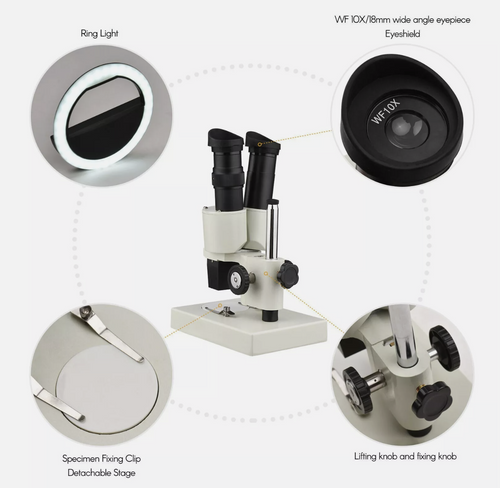 Microscope Binocular Stereo 20X 40X Laboratory Scope With LED Light Source