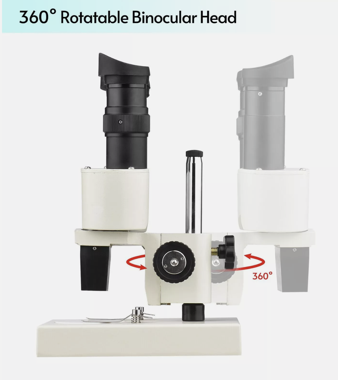 Microscope Binocular Stereo 20X 40X Laboratory Scope With LED Light Source