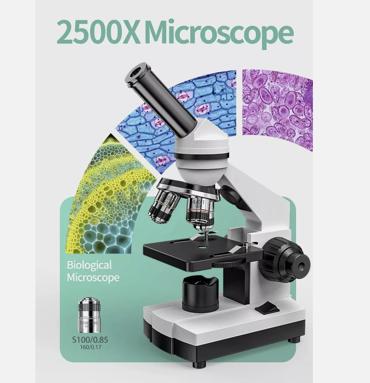 Microscope 100X-2500X Student Biological Top & Bottom LED Illuminated