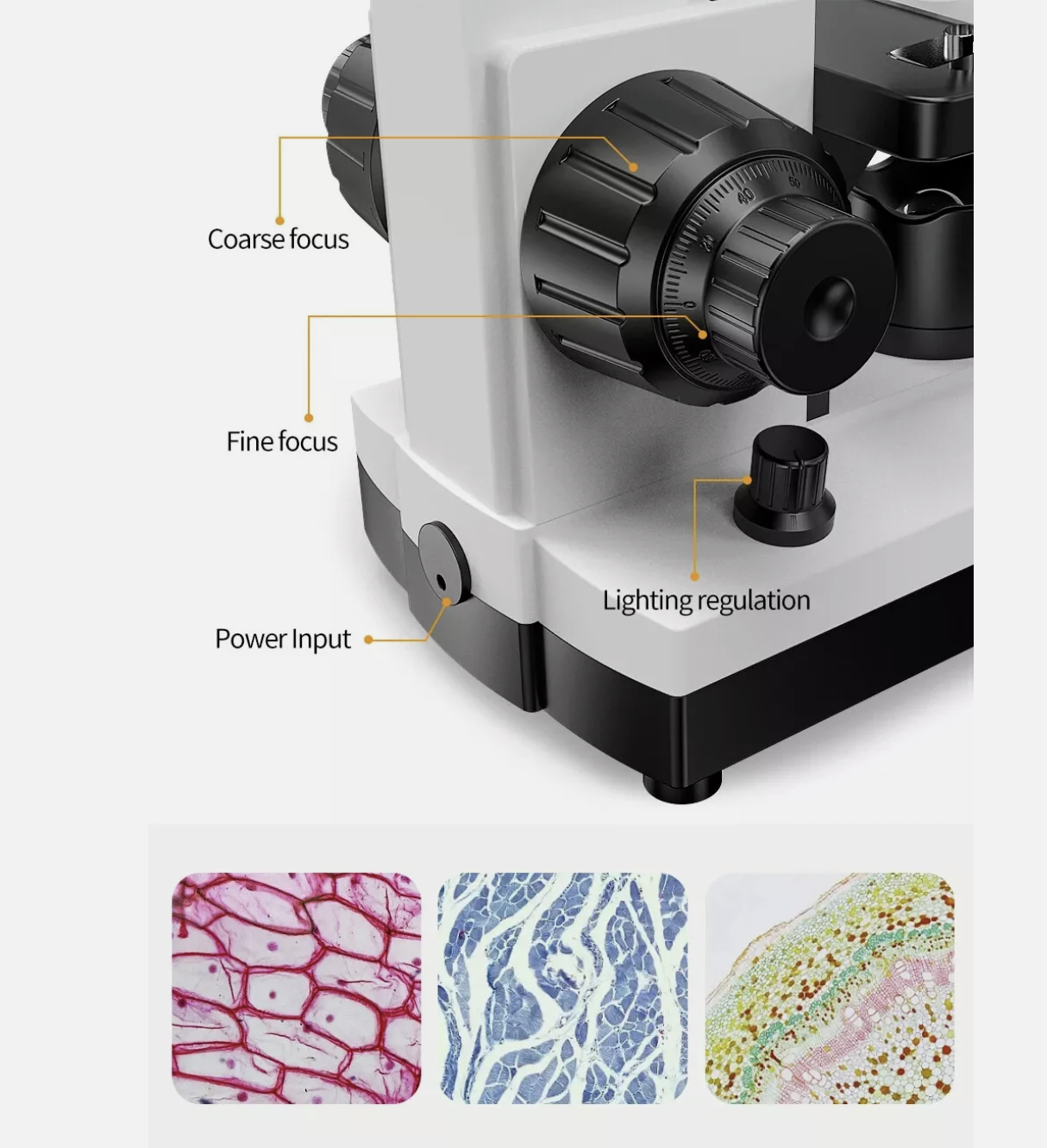 Microscope 100X-2500X Student Biological Top & Bottom LED Illuminated