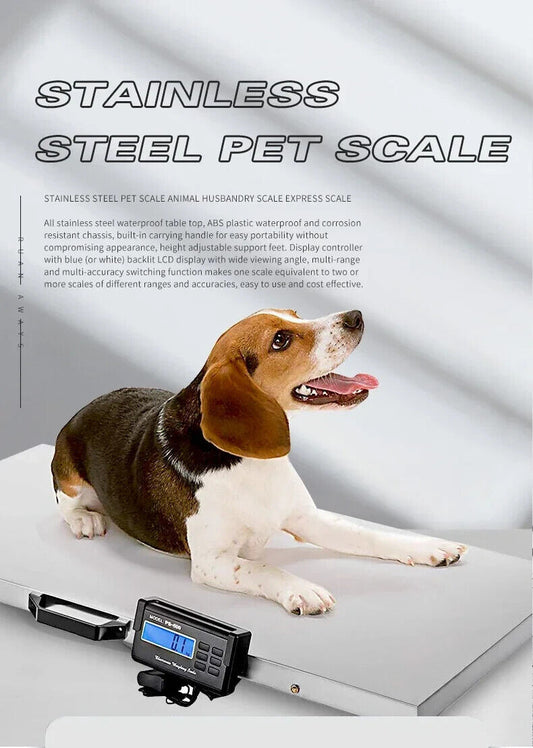 Scale Digital Pet Electronic Weigh 300KG x 0.1kg AC Weighing Back-lit Blue LCD 53X43CM