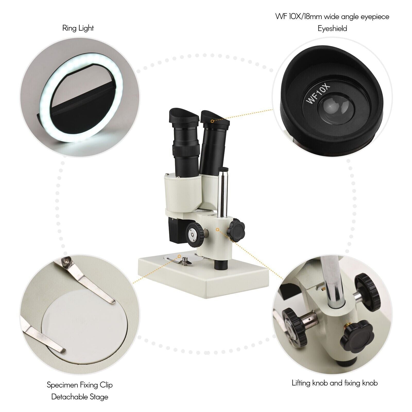 Microscope Binocular Stereo 20X 40X Laboratory Scope With LED Light Source