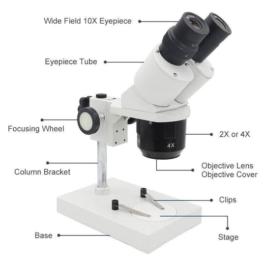 Microscope Binocular Stereo 20X 40X Laboratory Scope Illuminated Ring Lights