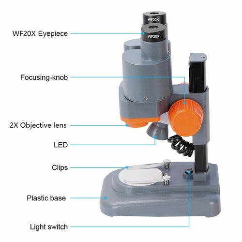 Stereo Microscope 40X Binocular with LED light Wide Field Vision