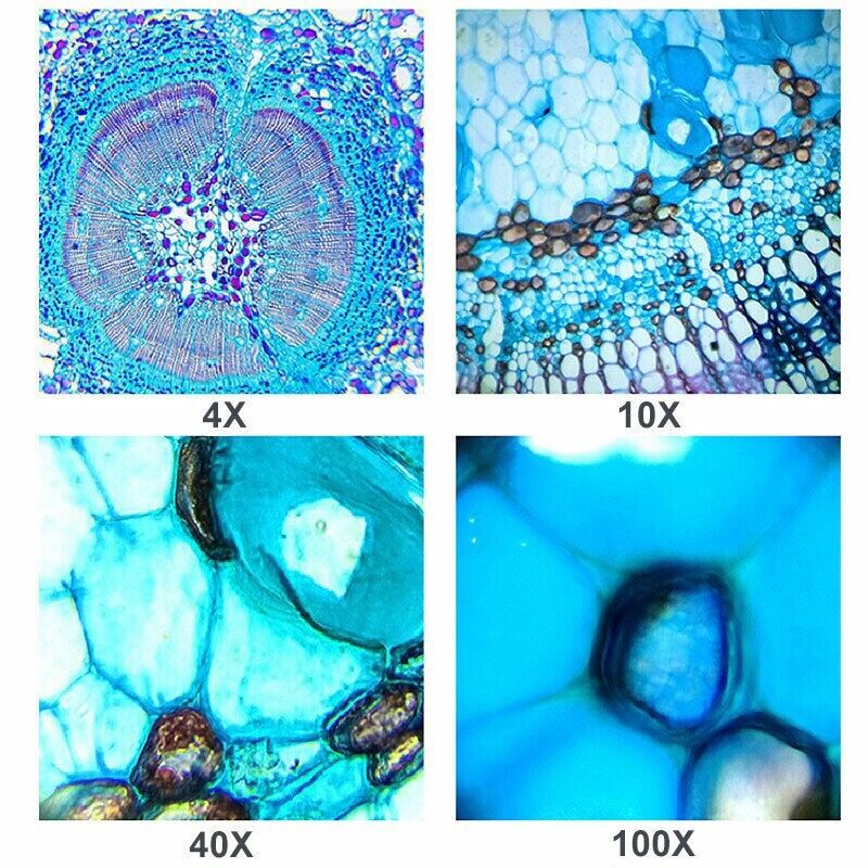 40X-1600X Trinocular Compound Microscope Professional Lab Biological Microscope