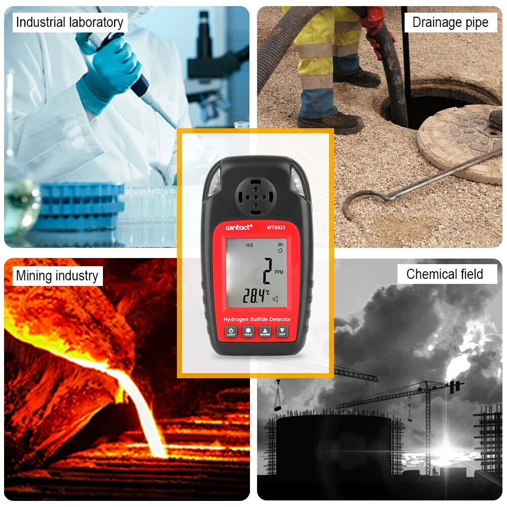 Hydrogen Sulfide H2S Gas Detector Tester Sensor Meter & Alarm Device